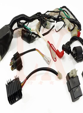 海陵M4MX6沙漠王贵尊华洋T4T6越野摩托车主线电线电点火器高压包