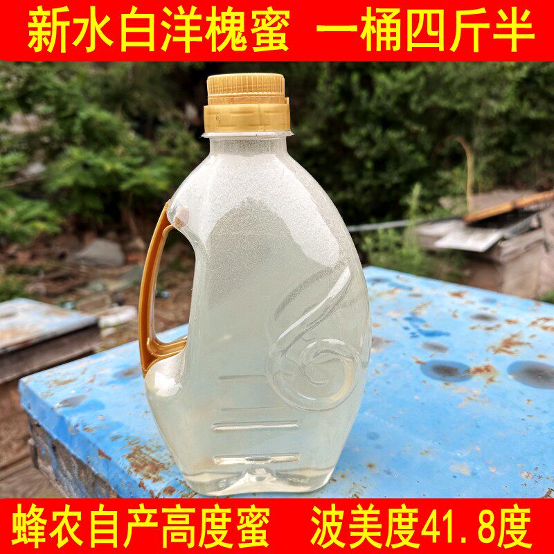 新水白洋槐蜜纯正天然原蜜农家自产东北洋槐蜜刺槐蜜槐花蜜41.8度