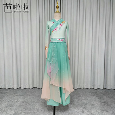古典舞演出服流光舞蹈服艺考剧目