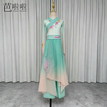 古典舞演出服独舞流光舞蹈服飘逸艺考剧目服扇子舞少儿成人表演服