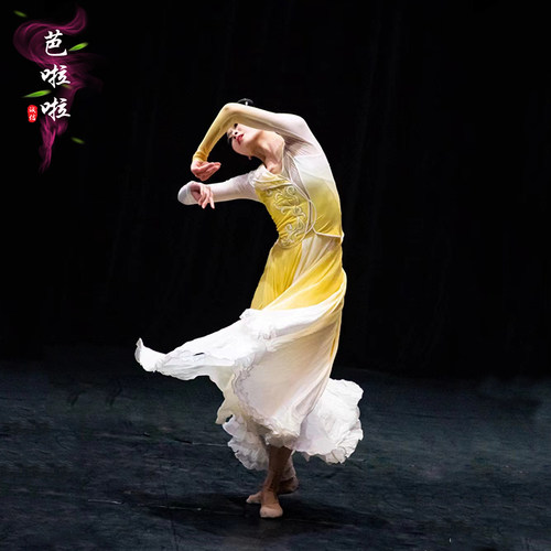 雪纺韶光舞蹈服古典艺考服大摆裙