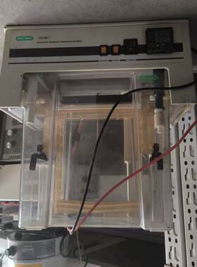 可伯乐梯度凝胶电泳仪 伯乐BIO-RAD DCode 基因突变