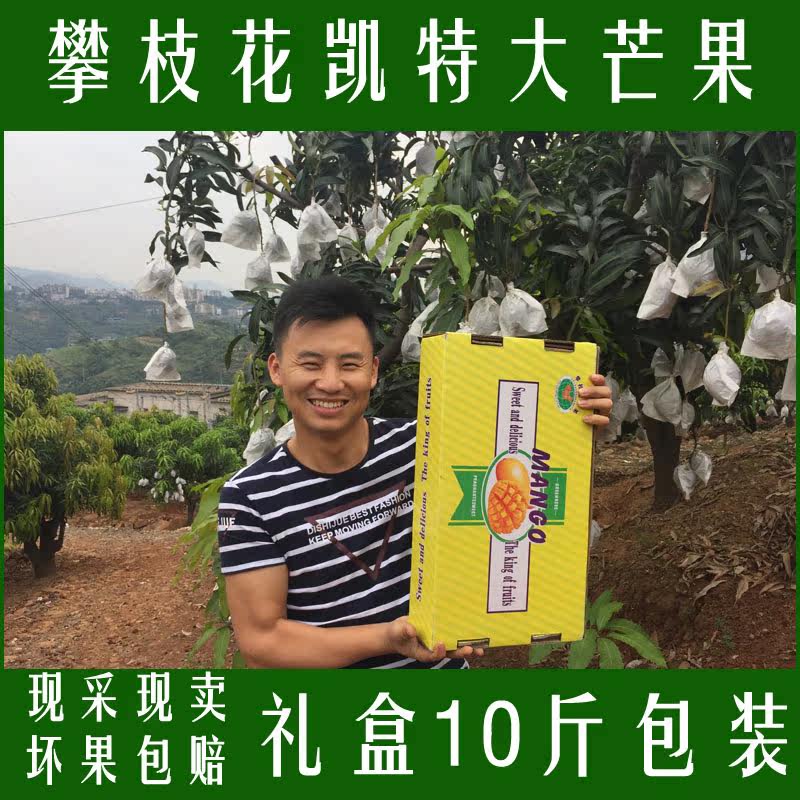 康鲜生 攀枝花凯特精品礼盒芒果新鲜大芒果采摘整箱10斤当季水果