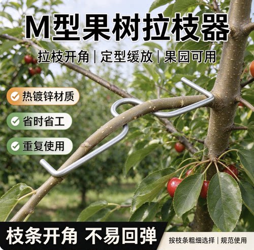 树木拉直神器m型拉枝器桉树通用苗木盆景字快速固定器树枝挂绳绑