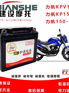 适用力帆摩托车KPV150 KP150 KPR150 KPT200 LF150-10B-10S蓄电池
