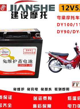 摩托车电瓶大阳DY110-2 DY100 DY90 DY48Q-3 12N5-3B弯梁车蓄电池