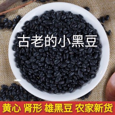 肾型小黑豆非转基因雄黑豆豆浆