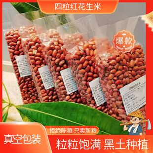 新货红皮花生米真空包装正宗东北四粒红红衣花生原味不带壳农家