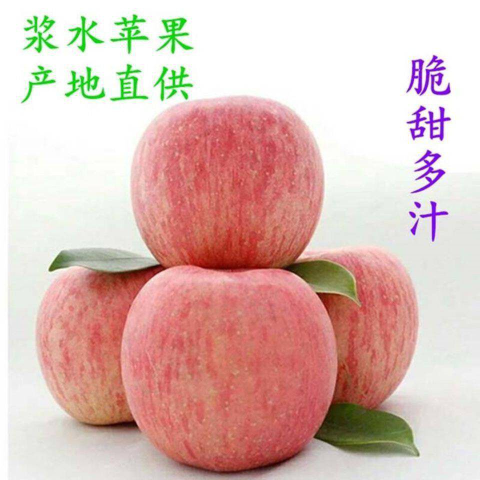 浆水苹果河北邢台特产农家脆甜红富士10斤装15斤整箱今年新果