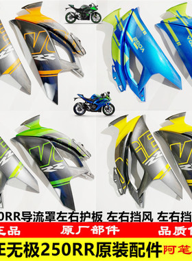隆鑫LX250GS-3无极250RR导流罩左右护板左右挡风板左右挡风内板