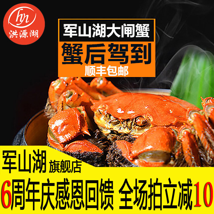 活蟹军山湖大闸蟹2.1-2.4两8只螃蟹鲜活水产礼盒全母蟹江西特产