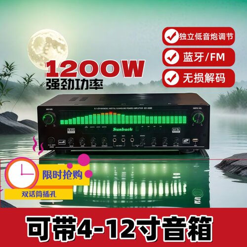 大功率5.1声道蓝牙功放机