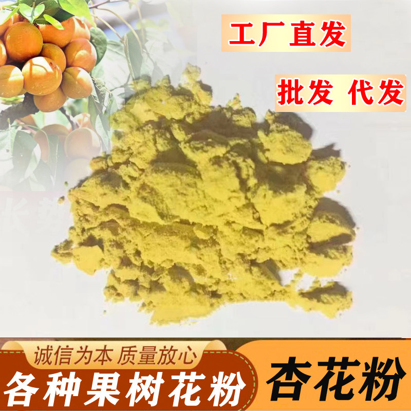 杏花粉杏树花粉授粉凯特金太阳吊干杏子花粉杏花花粉人工授粉批发