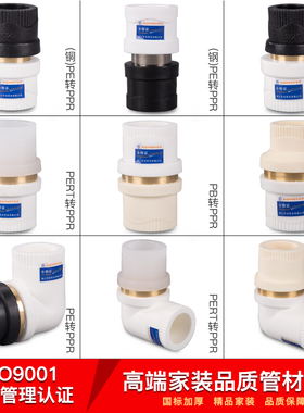 加厚铜4分20pe转ppr接头自来水热熔pert6分转pb抗压水管配件管件