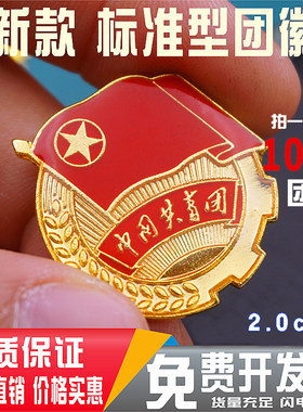团徽磁铁标准款团徽别针蝴蝶扣