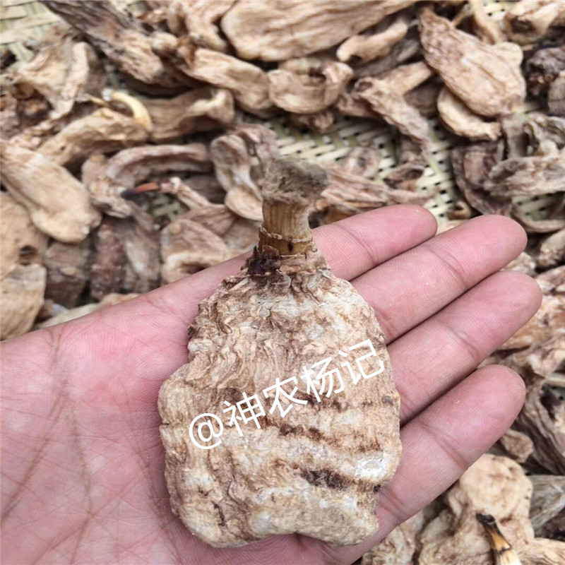 神农架高山野生乌天麻天然冬麻炖汤头疼可切片打粉100g包邮