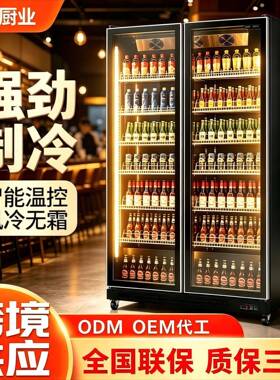 网红酒水柜商用冷藏柜双门立式冰柜风冷无霜展示柜酒店立式保鲜柜