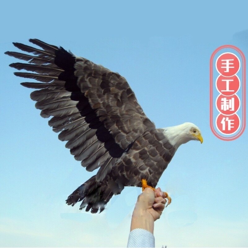 仿真展翅老鹰白头鹰标本真羽毛鸟笼家居园林田园驱鸟道具模型摆件