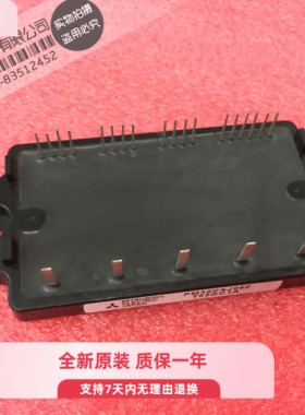 PM30CSJ060 PM30CSJ 直插 全新