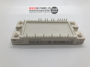 BSM50GP60 BSM100GP60 BSM20GP60 BSM30GP60