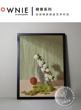 BROWNIE艺术摄影 原版限量 装饰画 Magali Polverino《滋养身体》