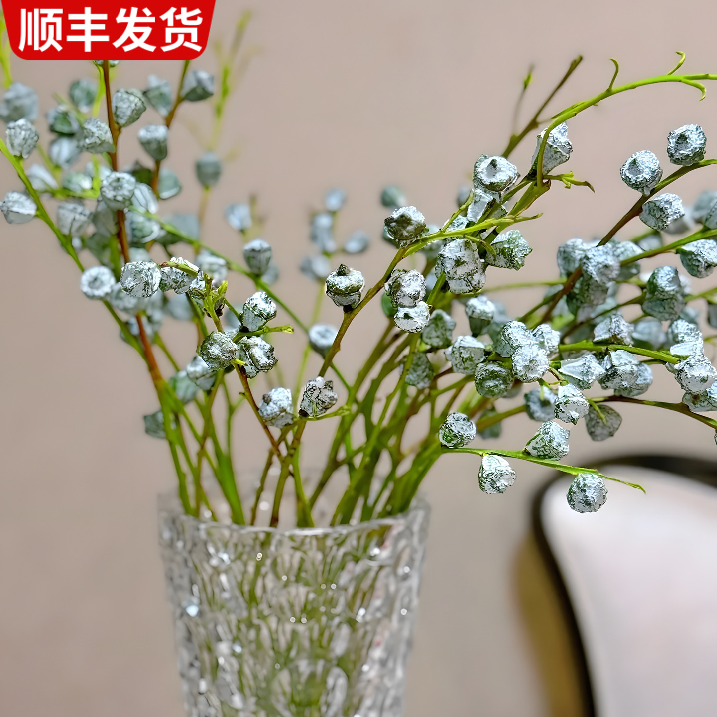 尤加利果鲜切枝果子真果可做干花