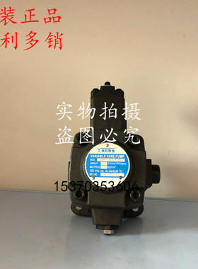 台湾油昌Yochg变量叶片泵 VPV2-30-20/35/55/70-20 油泵