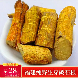 福建野生穿破石中药材晒干新货无硫九层皮川破石黄蛇地棉柘根500g