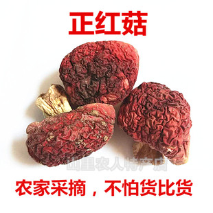 福建野生红菇丁土楼特产正宗红菇干货红蘑菇香菇特产菌菇50g包邮