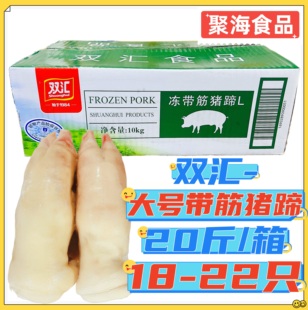 双汇猪蹄20斤带蹄带筋猪手约18 22个L号短脚冷冻双汇猪脚带筋猪蹄