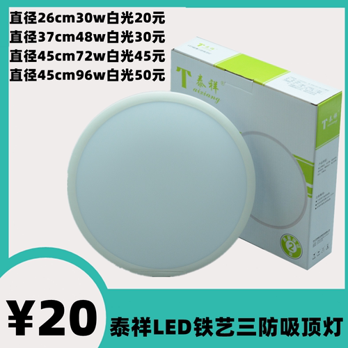 泰祥照明吸顶灯一体卧室厨房卫生间防尘虫潮LED三防铁艺铁材超薄