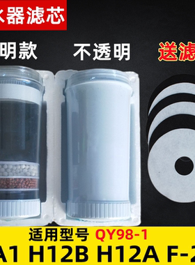 沁园家用饮水机净水器QY98-1 H12A H12B HA1 F20活性炭原装滤芯