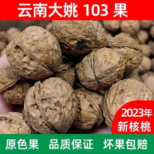 2023新货云南楚雄大姚核桃103果三台薄壳老树香甜无苦涩云南特产