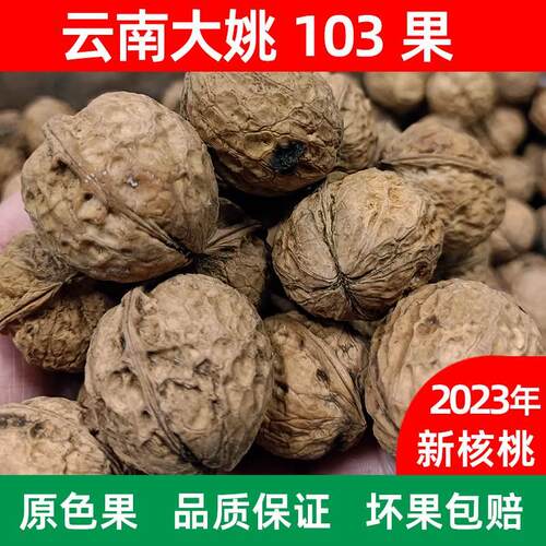 2023新货云南楚雄大姚核桃103果三台薄壳老树香甜无苦涩云南特产