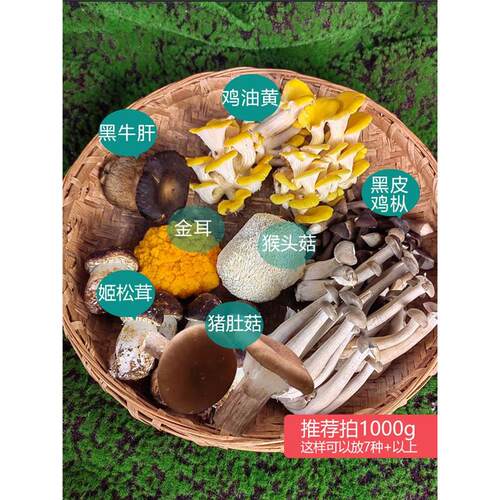 云南新鲜菌菇组合1斤煲汤 打边炉 菌火锅 炖汤鲜蘑菇野生菌牛肝菌