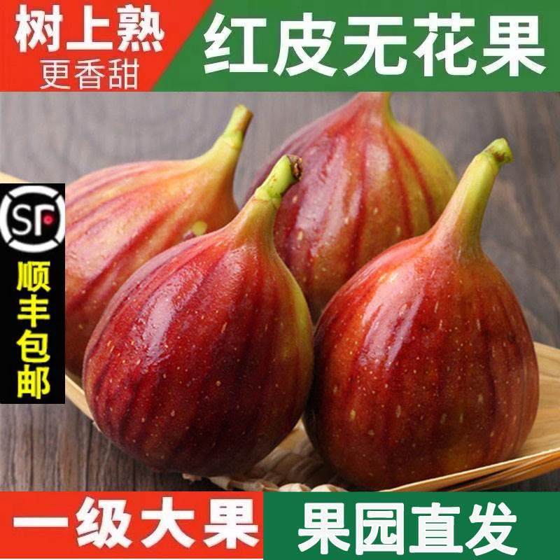 【顺丰5斤】新鲜红皮无花果鲜果孕妇水果应当季大果青红皮整箱,水产肉类/新鲜蔬果/熟食,无花果,淘宝优惠券,粉丝福利购,淘宝优惠卷
