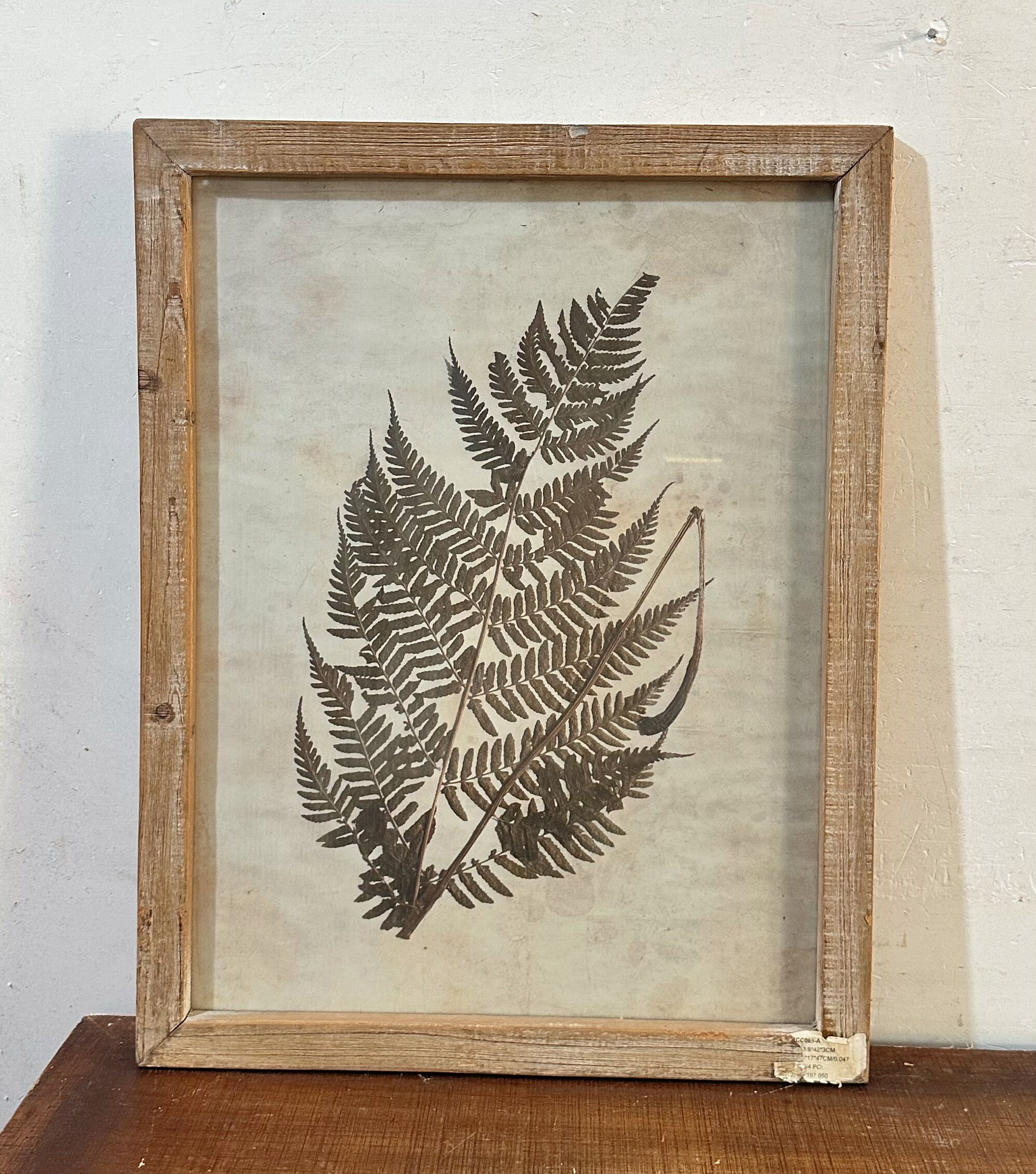 外贸孤品植物标本装饰画挂画照片墙手作复古花卉标本创意礼品画框