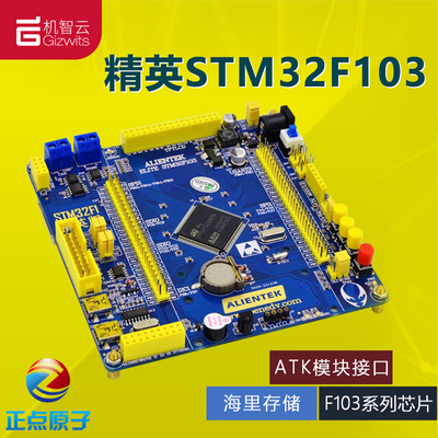 正点原子精英单片机海里存储