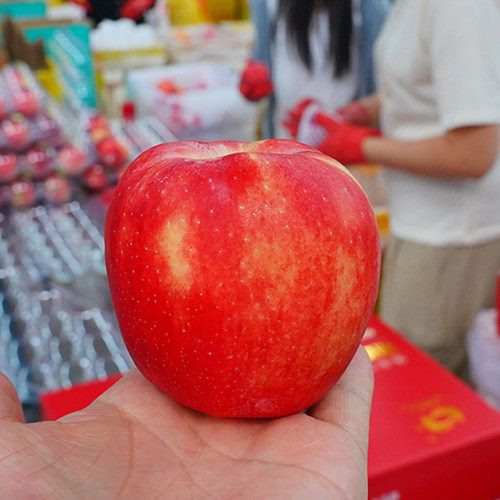 现摘嘎啦 产地直发 新鲜当季