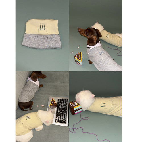POXFFEEPet蛋糕西高地腊肠猫咪冰感背心英短柯基小型犬狗狗衣服