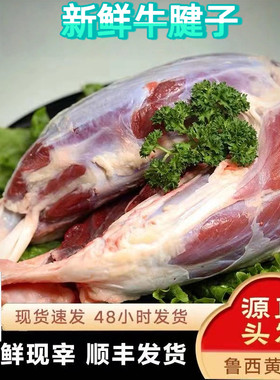 牛肉10斤国产新鲜鲁西黄牛牛腱子