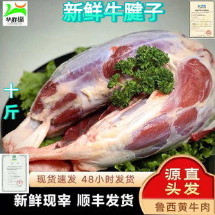 牛肉5斤\10斤装原切牛腱子低脂健身冷冻生鲜谷饲牛腱子肉火锅食材