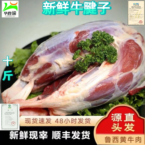 牛肉10斤国产新鲜鲁西黄牛牛腱子