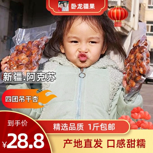 【卧龙疆果】新疆吊干杏无添加果蒲阿克苏杏干孕妇适用坚果零食