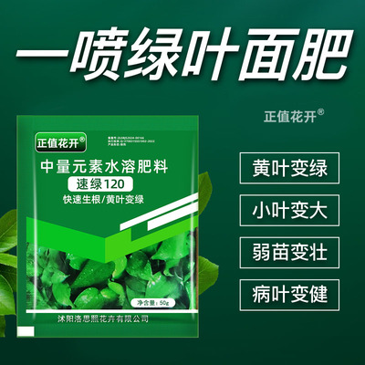 速绿120叶绿素花卉蔬菜果增绿
