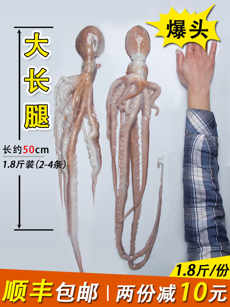 鲜活长腿野生速冻八爪鱼