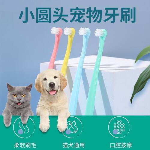 宠物牙刷圆头软毛猫狗刷牙专用牙具除口臭清洁独立包装宠物店批发