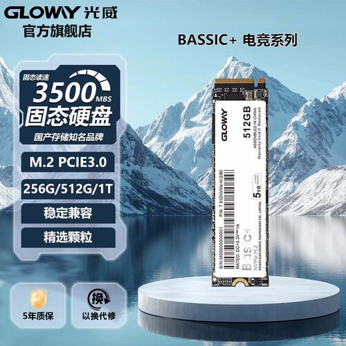 光威Basic+256g 512g 1t 2t固态硬盘ssd m.2 PCIe3.0笔记本台式机