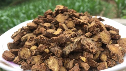 野外泡水炖汤野外自然生长