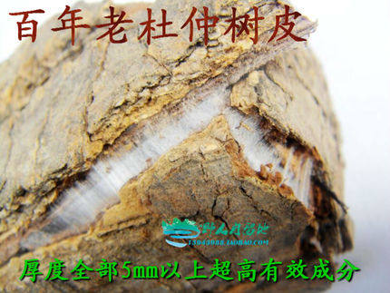 野生老树男性丝杜仲茶500g杜仲皮